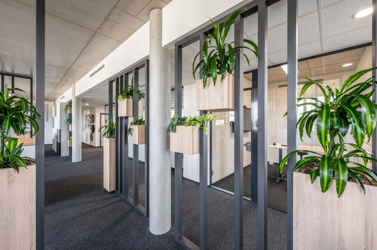 Blick in die offene Bürolandschaft vom neuen Firmensitz von PlanET in Gescher. Konzept, Entwurf und Planung von HOFF und Partner, Gronau.